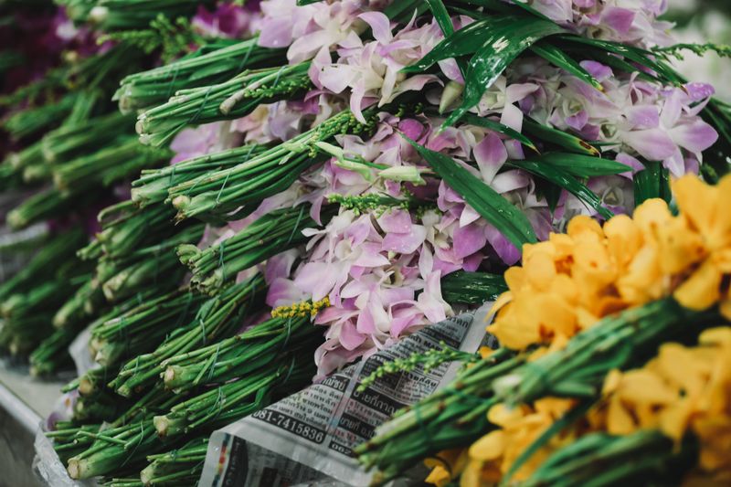 Bouquet tropical fleurs d'été — interflora livraison fleurs