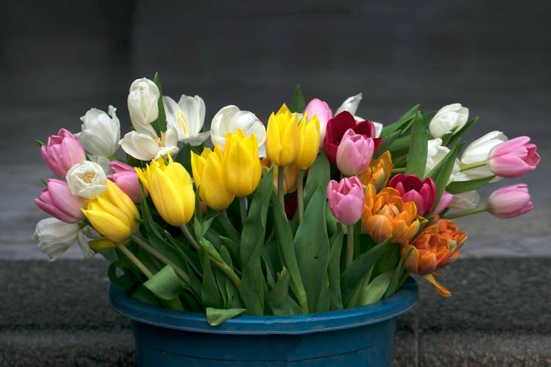 Bouquet de roses roses pastel Jardin — Interflora